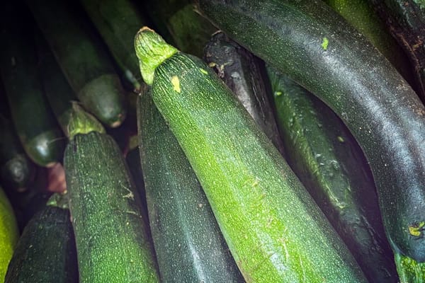 Co s prebytkem cukety: tri zpusoby, jak ji v cervenci nevyhodit, ale schovat na zimu